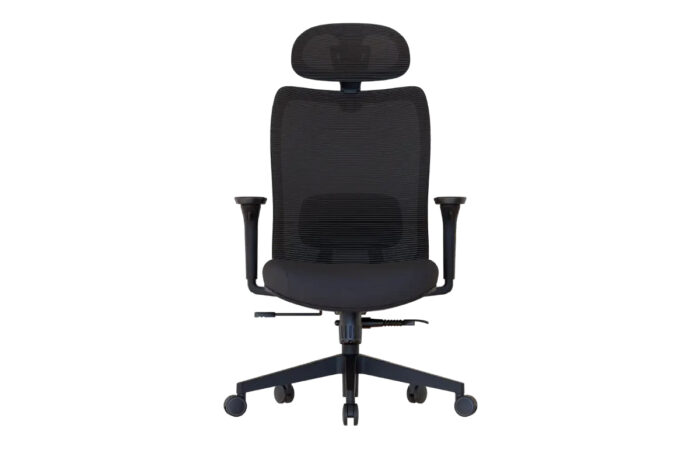 Cadeira Ergonômica Elements Astra Pro - Imagem 2